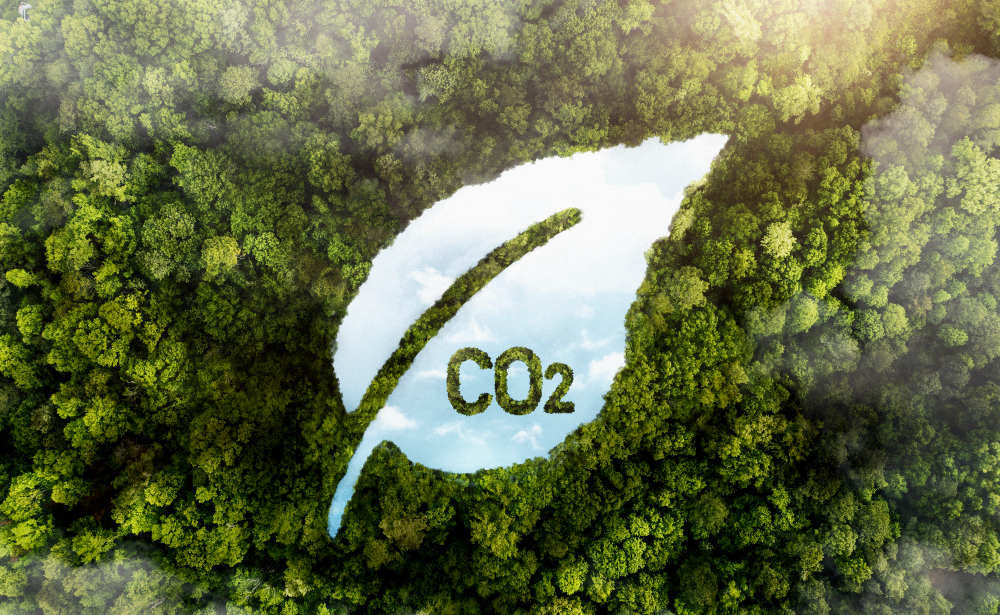 Lee más sobre el artículo Decisiones Inteligentes para Reducir la Huella de Carbono en tu Empresa